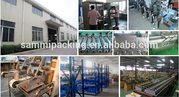 Vertical Back-Seal Sachet Packing Machine